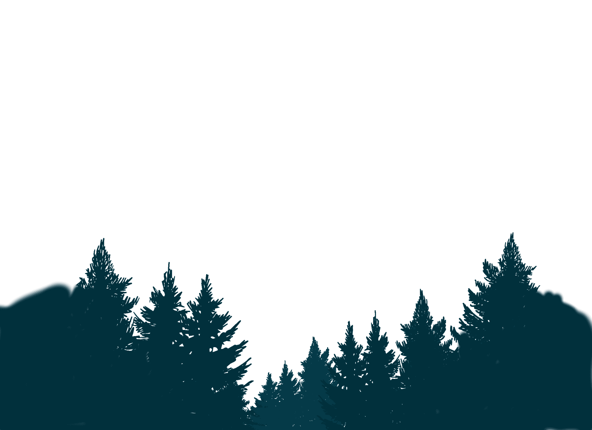 Front layer